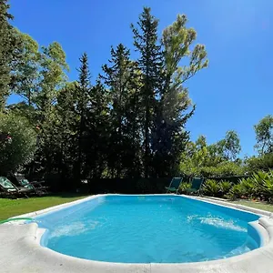 Con Piscina Viajar Con Mascota Chalet